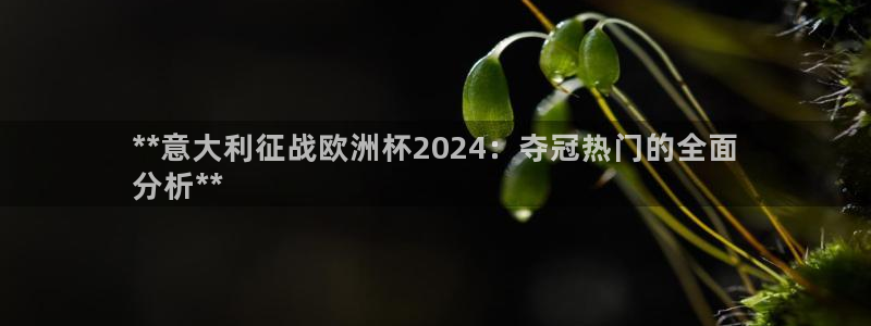 十大靠谱外围买球网站：**意大利征战欧洲杯2024：夺冠热门的全面
分析**