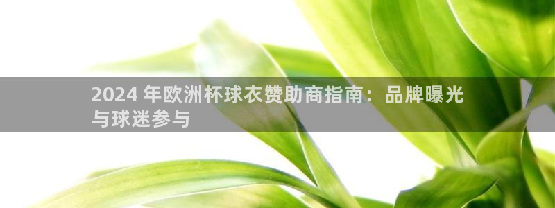 欧洲杯网站|2024 年欧洲杯球衣赞助商指南：品牌曝光
与球迷参与