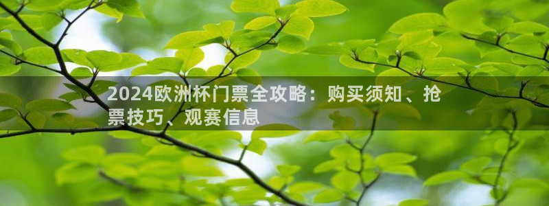 欧洲杯决赛彩票网上购买|2024欧洲杯门票全攻略：购买须知、抢
票技巧、观赛信息