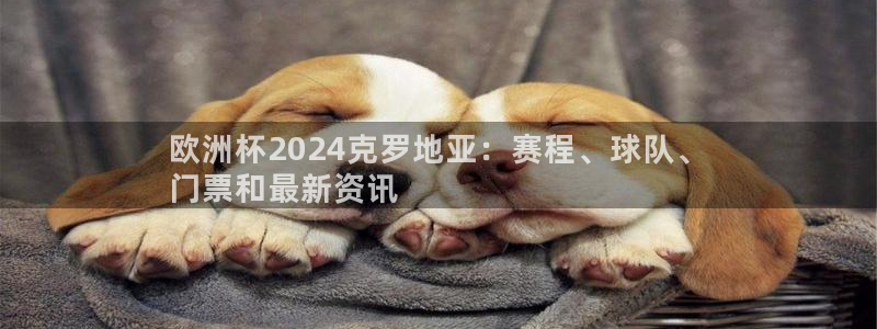 welcome欧洲杯开户|欧洲杯2024克罗地亚：赛程、球队、
门票和最新资讯