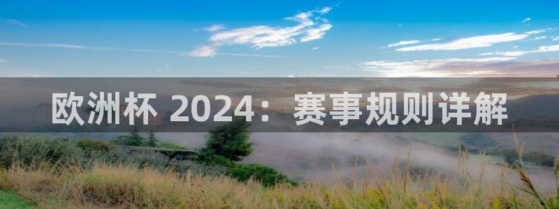 欧洲杯买球手机app|欧洲杯 2024：赛事规则详解