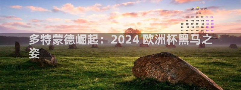 十大靠谱外围买球网站|多特蒙德崛起：2024 欧洲杯黑马之
姿