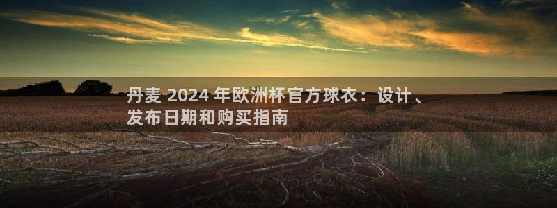 欧洲杯下单平台官网网址|丹麦 2024 年欧洲杯官方球衣：设计、
发布日期和购买指南