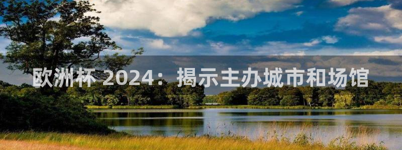 欧洲杯下单平台官网网址|欧洲杯 2024：揭示主办城市和场馆