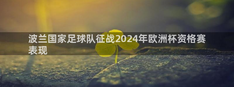 波兰国家足球队征战2024年欧洲杯资格赛
表现