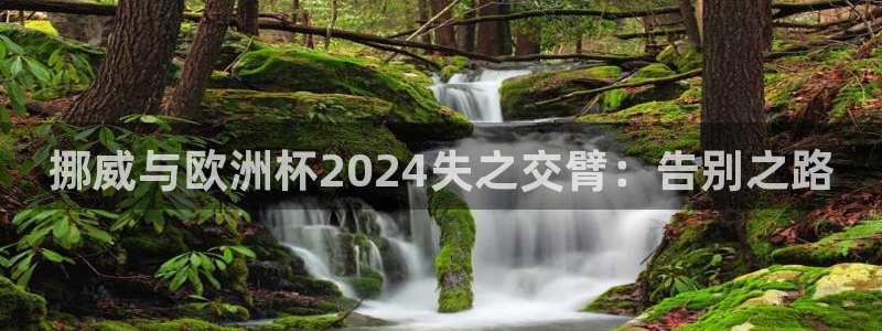 2024欧洲杯买球推荐|挪威与欧洲杯2024失之交臂：告别之路