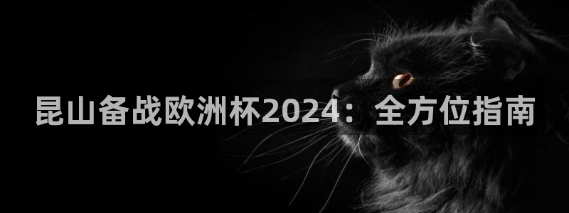 欧洲杯官网|昆山备战欧洲杯2024：全方位指南