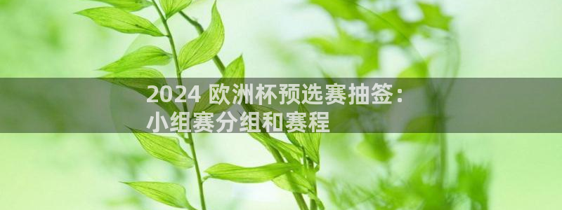 欧洲杯竞猜手机app推荐|2024 欧洲杯预选赛抽签：
小组赛分组和赛程