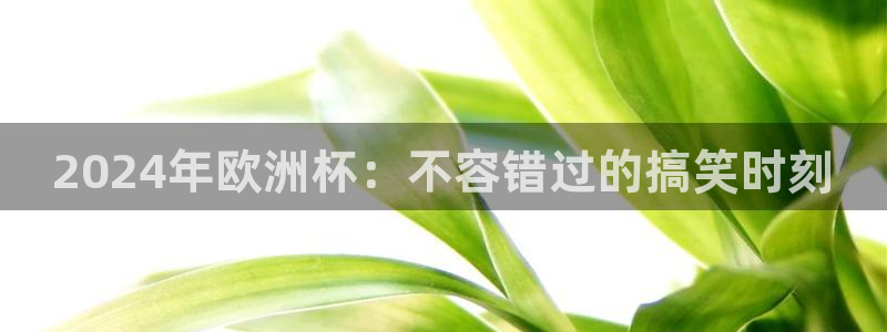 欧洲杯官网|2024年欧洲杯：不容错过的搞笑时刻