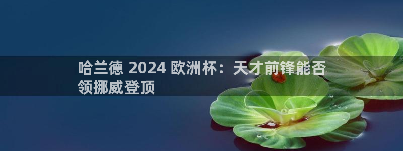 欧洲杯线上买球|哈兰德 2024 欧洲杯：天才前锋能否
领挪威登顶