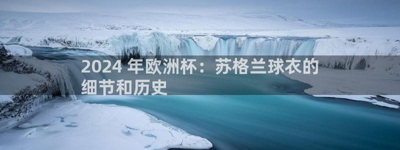 欧洲杯在哪个网站购买|2024 年欧洲杯：苏格兰球衣的
细节和历史