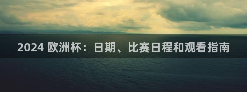 2024欧洲杯官方网站首页|2024 欧洲杯：日期、比赛日程和观看指南