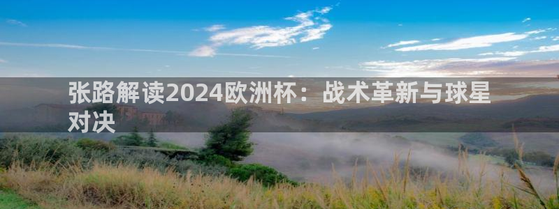 欧洲杯可以买冠亚军吗|张路解读2024欧洲杯：战术革新与球星
对决