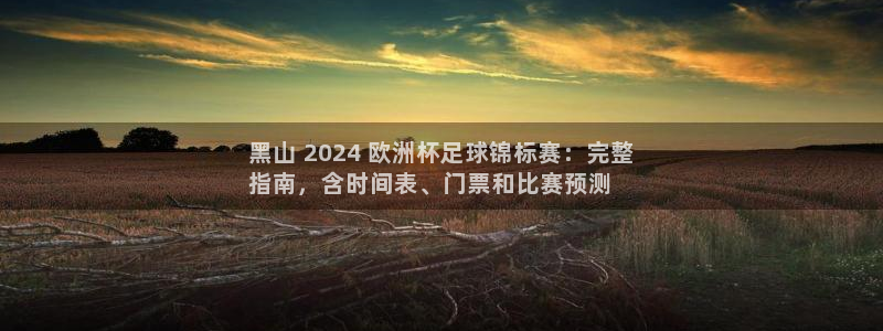 欧洲杯竞猜软件|黑山 2024 欧洲杯足球锦标赛：完整
指南，含时间表、门票和比赛预测