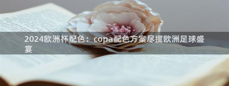 欧洲杯投注官方网站|2024欧洲杯配色：copa配色方案尽揽欧洲足球盛
宴